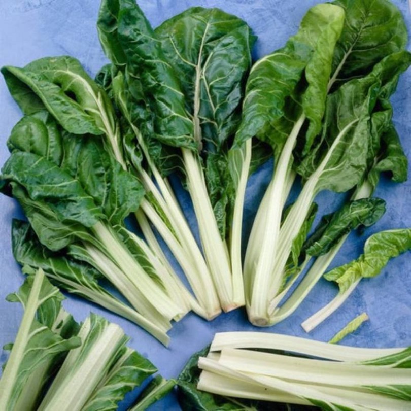 Lucullus mángold, Beta vulgaris, saláta